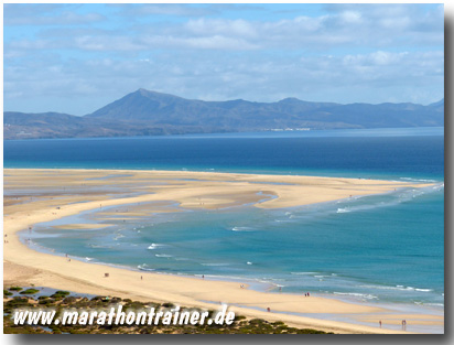 Fuerteventura ist ein El Dorado für Strandläufer!